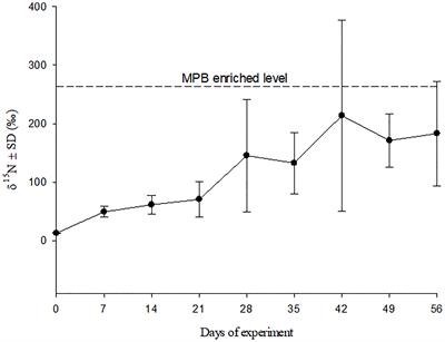Feeding Strategies of Mangrove Leaf-Eating Crabs for Meeting Their Nitrogen Needs on a Low-Nutrient Diet